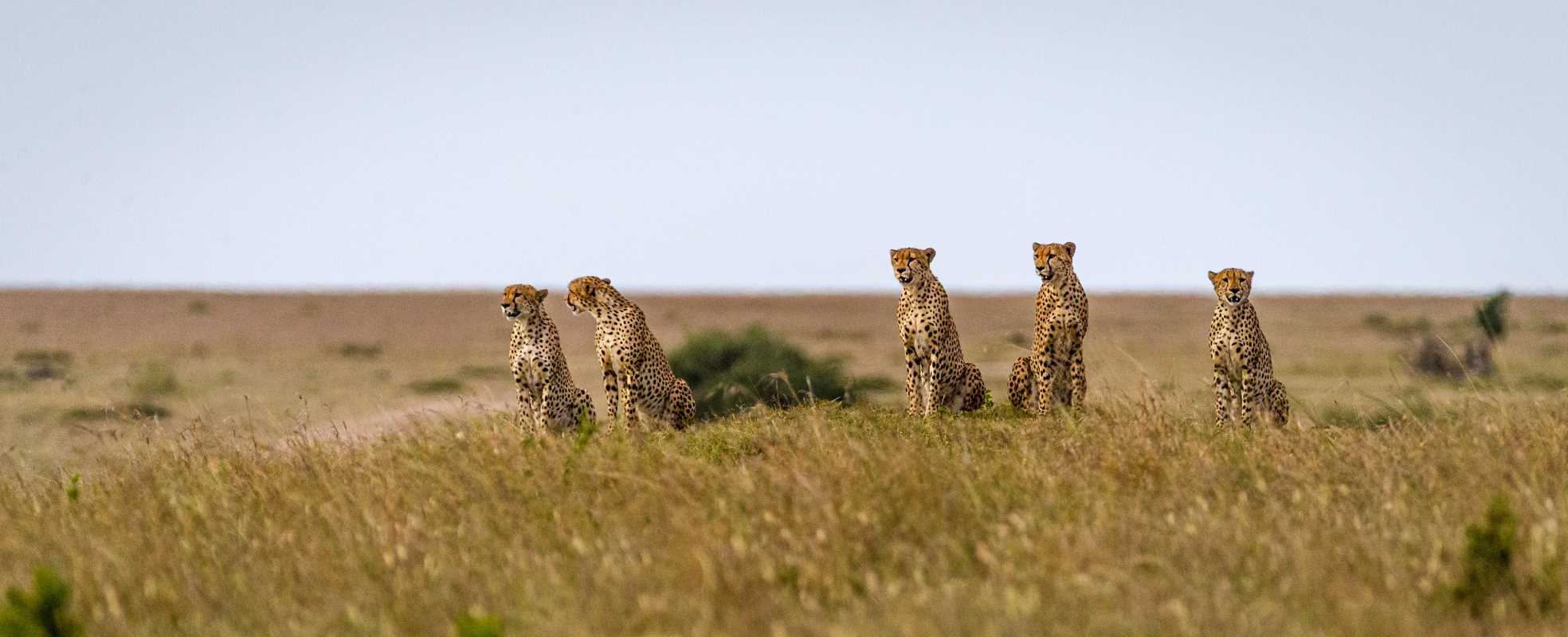 Unexpected African Destinations Worth the Journey