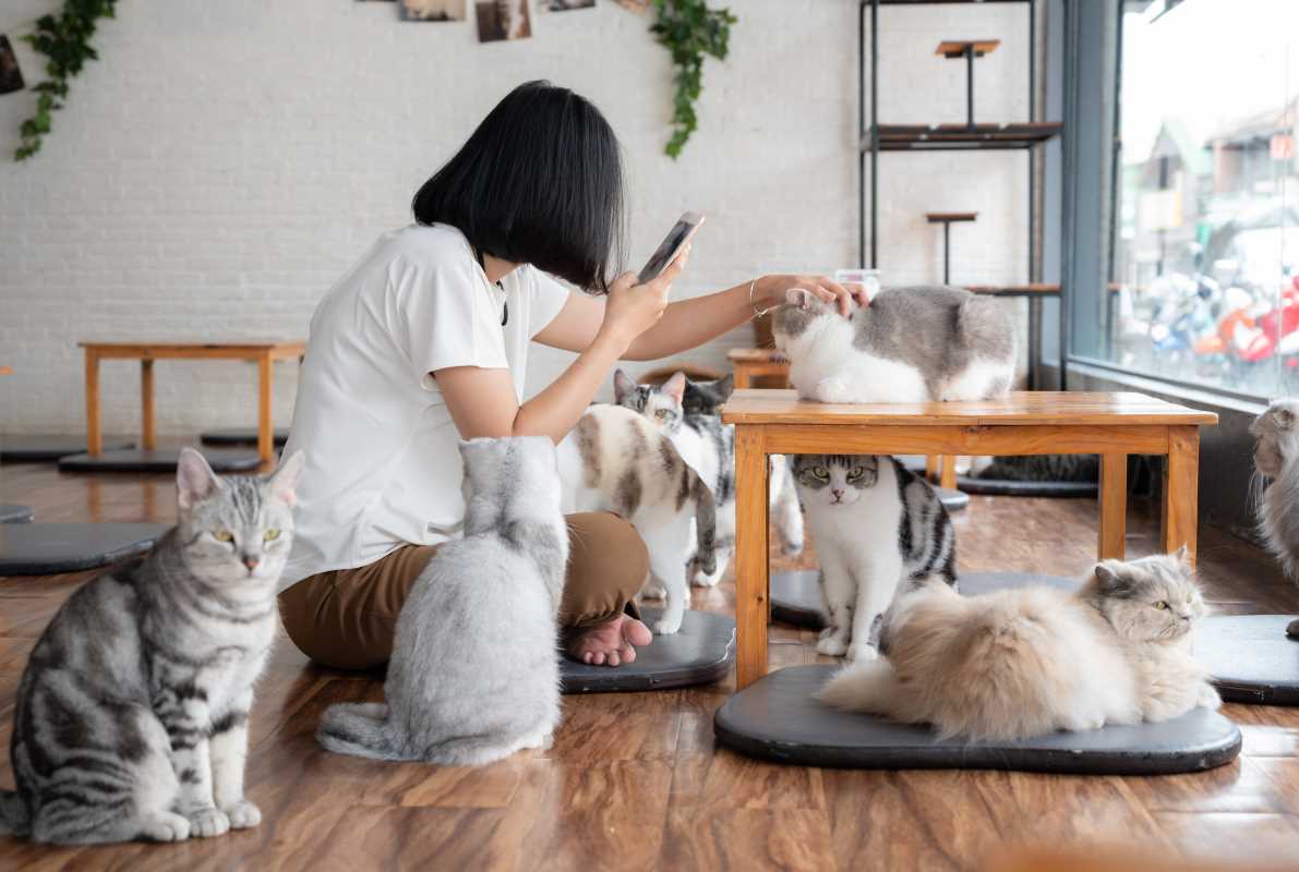 Theme Cafés So Wild You’ll Forget You're There for the Food